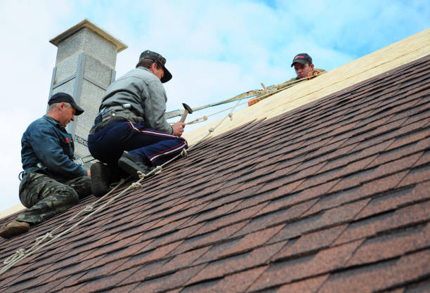 Quick and Trustworthy Emergency Roof Repair Services in Ashburn, VA